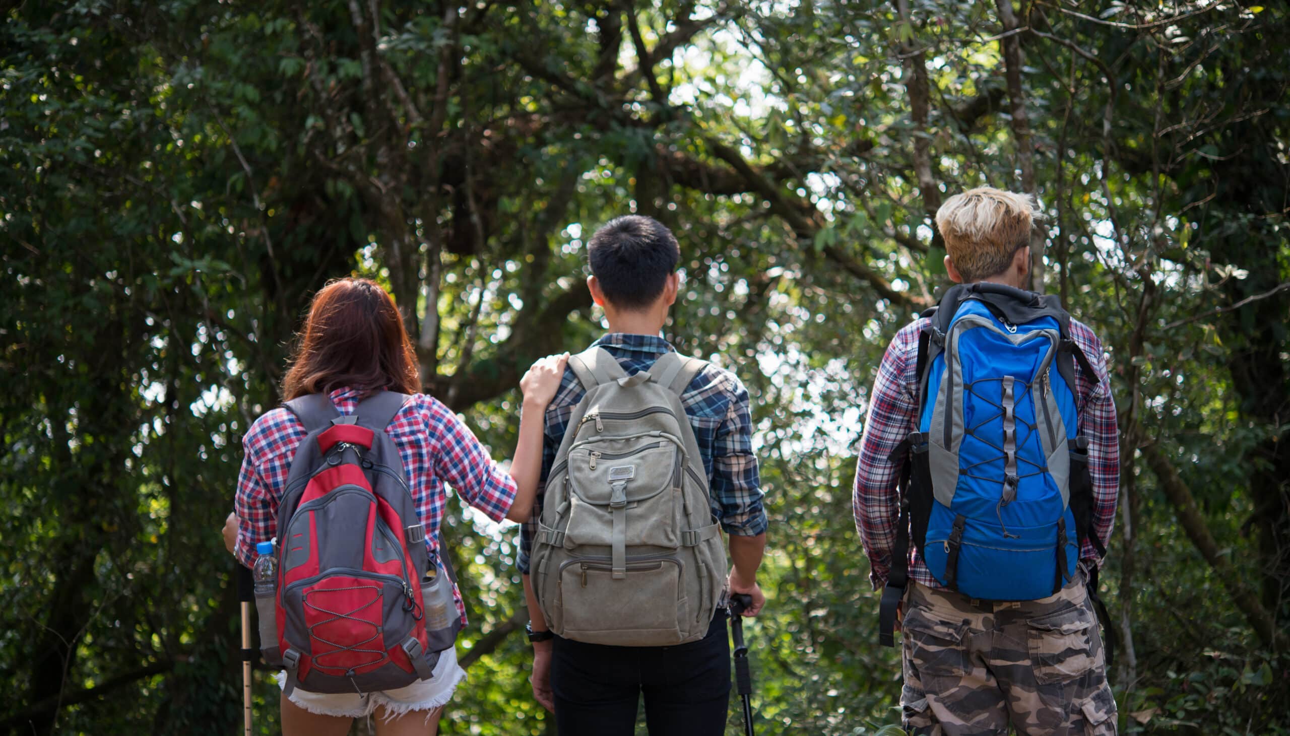 Illustrative image of three hikers, each with back turned to the camera, looking into the distance.