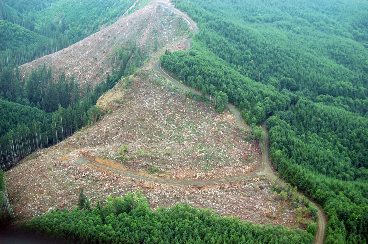 10 Facts About Climate Change Spunout