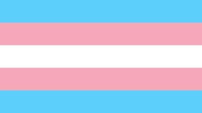 Support the Transgender* Healthcare Protest Dublin