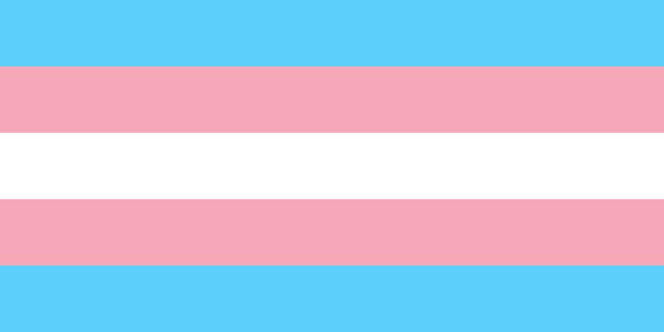 support-the-transgender*-healthcare-protest-dublin-thumbanail