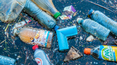 Let’s protect our planet from the plastic bottle epidemic