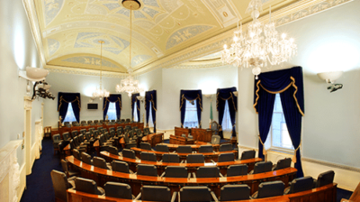 How does the Seanad work in Ireland?