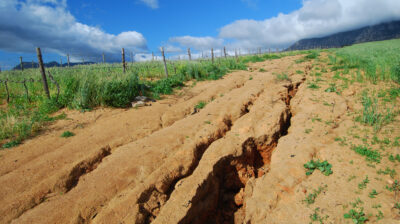 Soil erosion: Sometimes simple solutions are the best