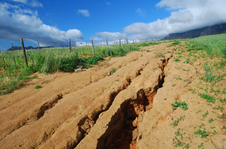 soil-erosion:-sometimes-simple-solutions-are-the-best-thumbanail