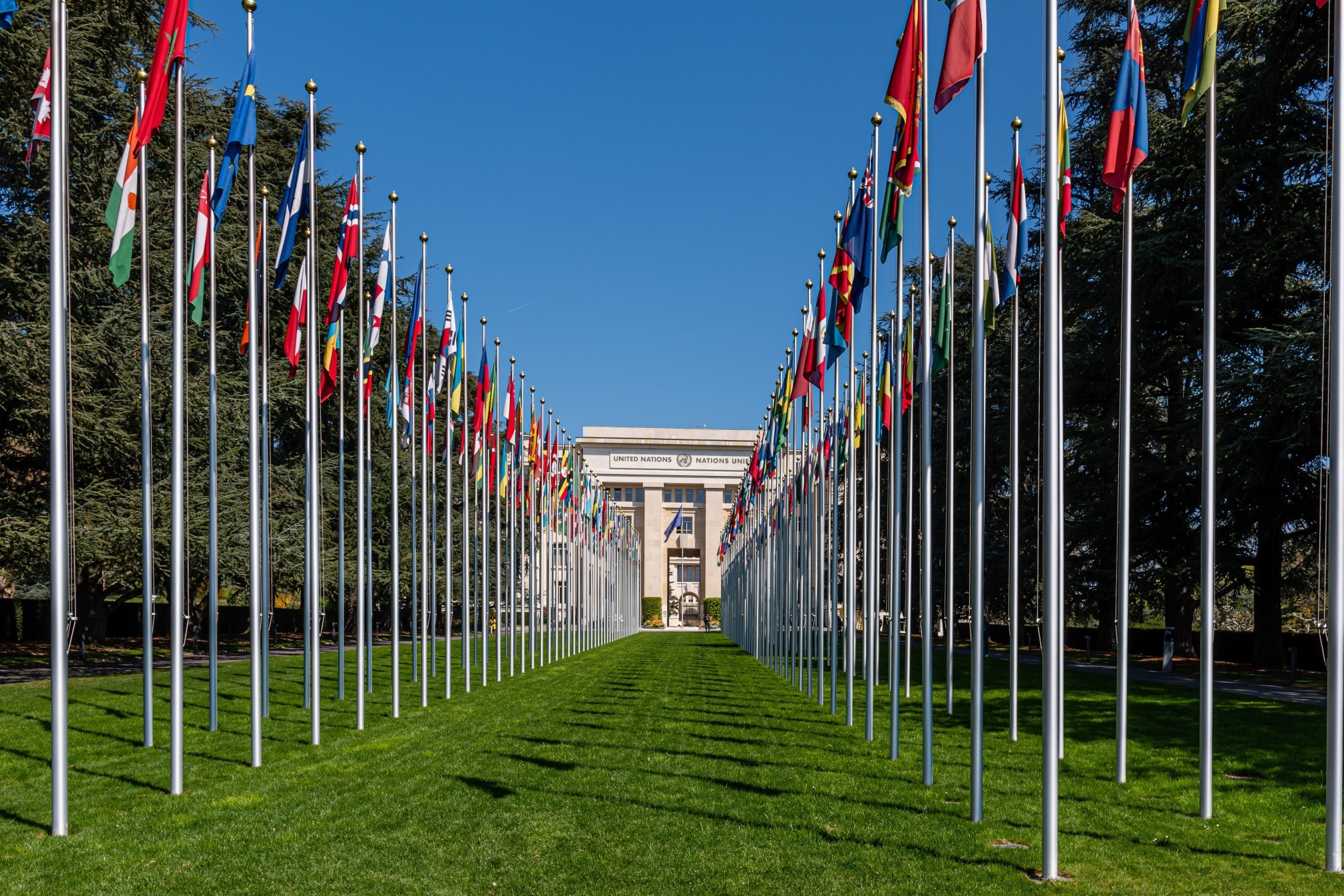 Apply for the UN Youth Delegate Programme for Ireland 2020-2021 - spunout