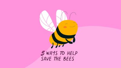 Five simple steps to help save the bees