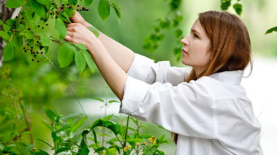 Eating for the seasons