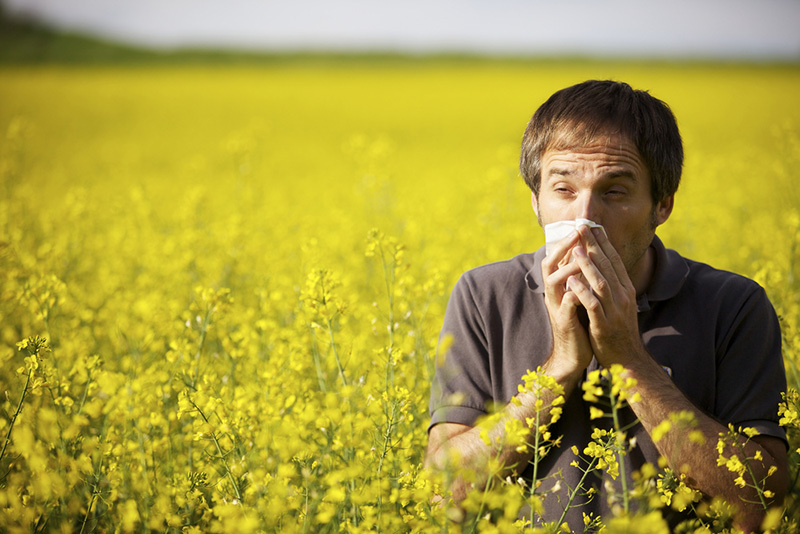 hay-fever:-causes,-symptoms-and-treatment-thumbanail