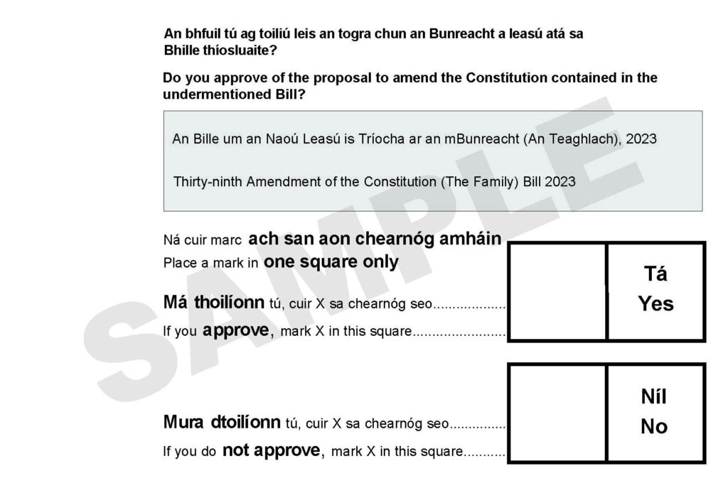 Image of a test ballot paper for a referendum in Ireland 