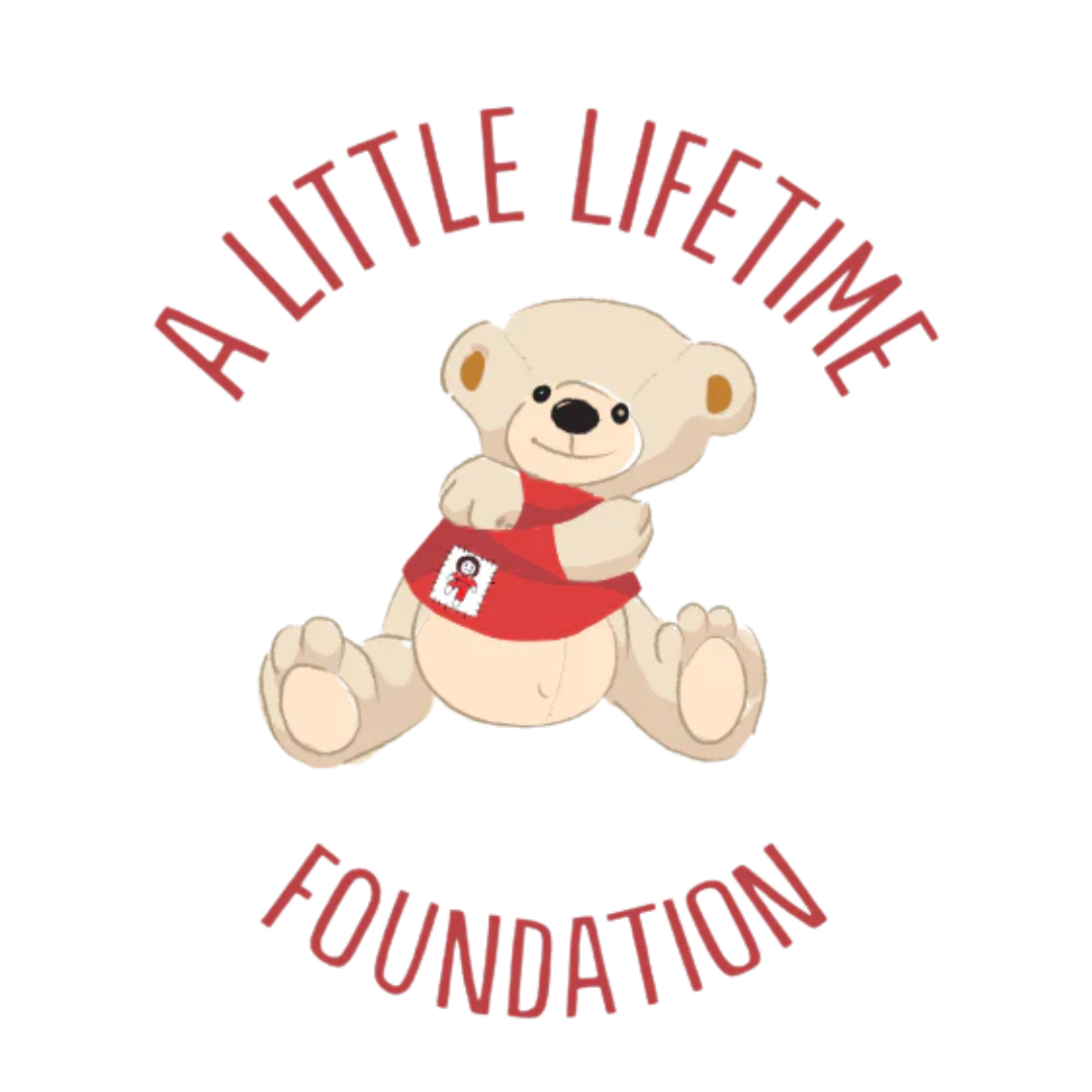 illustration of teddy bear hugging itself. logo of a little lifetime foundation