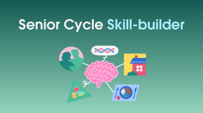 illustration of brain with 'senior cycle skill-builder written above it