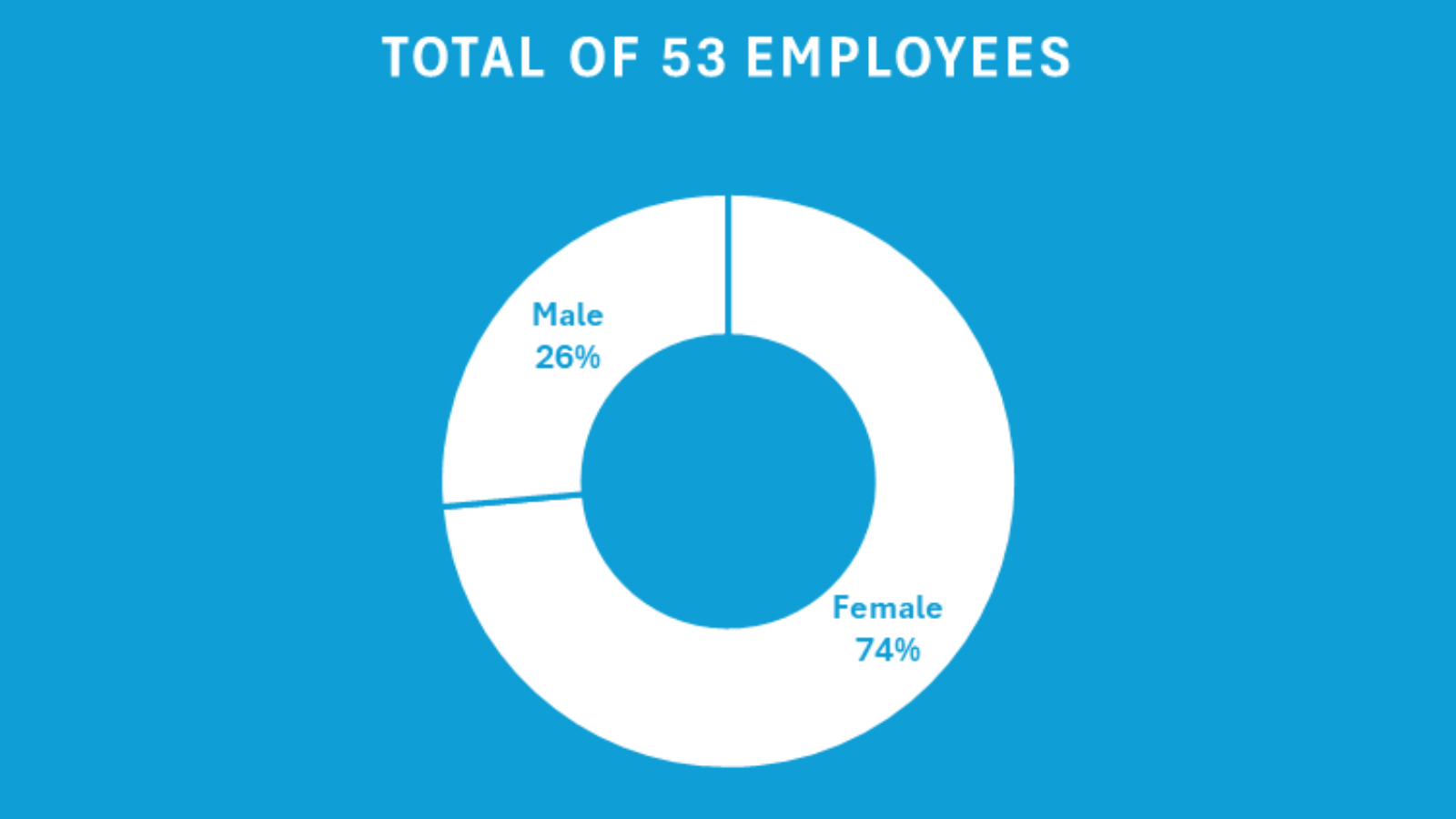 Total of 53 Employees. 26 percent male and 74 percent female