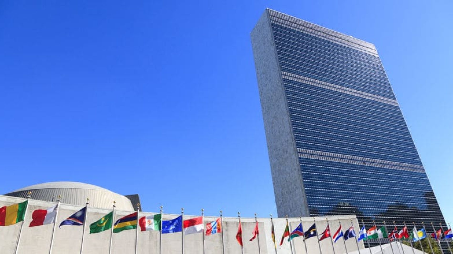 Apply for the UN Delegate Programme for Ireland