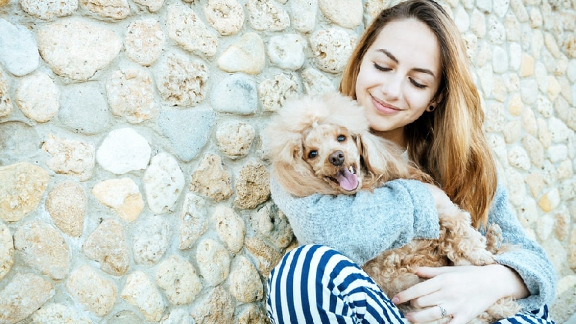 a family petting a dog in a park