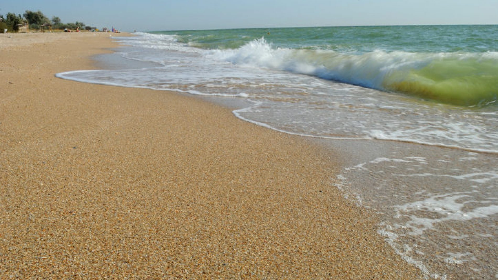 Hardon On Nude Beach