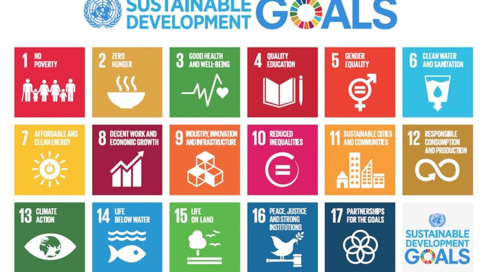 What are the Sustainable Development Goals