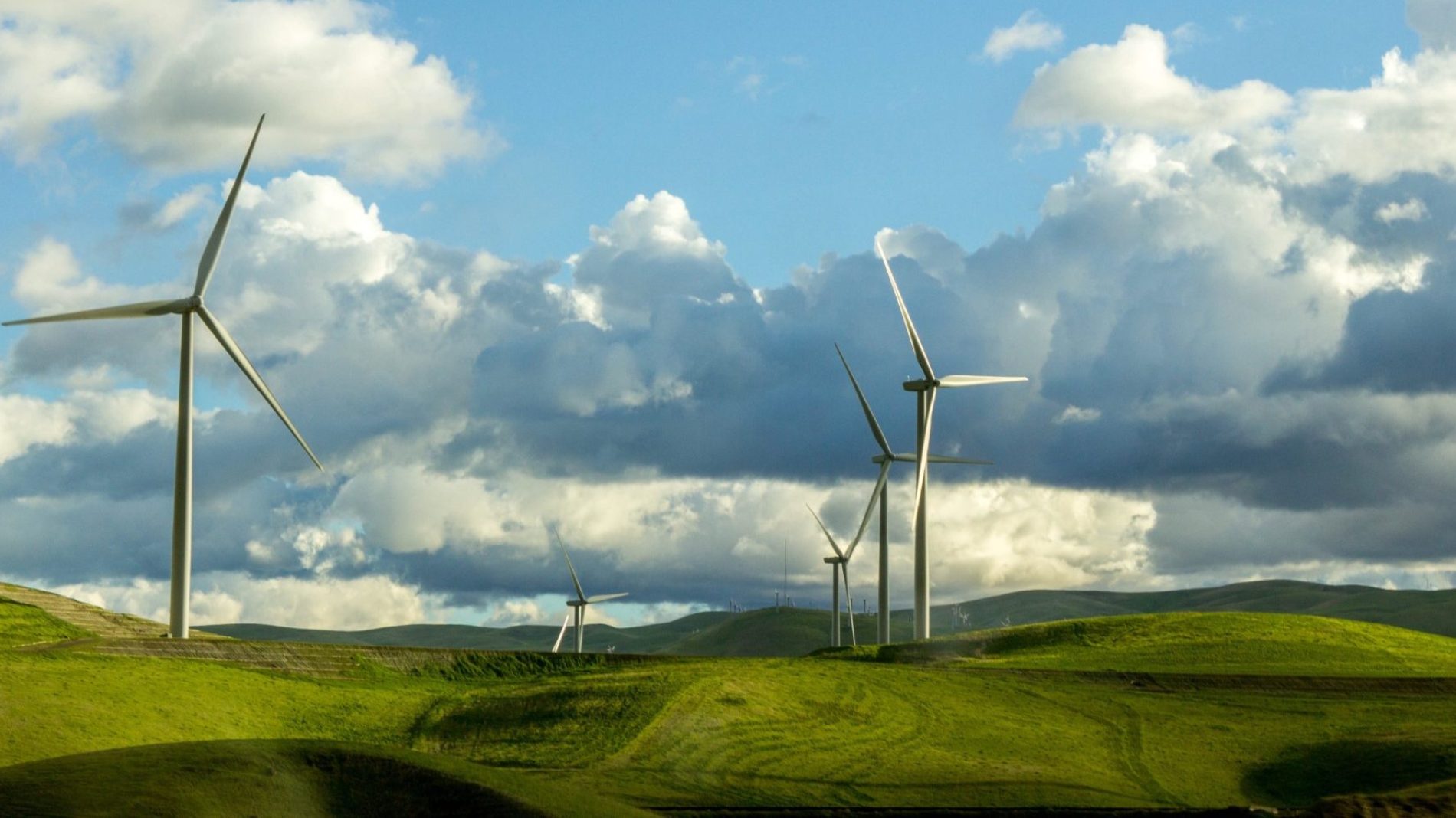 Wind turbines in Irish fields to fight climate change