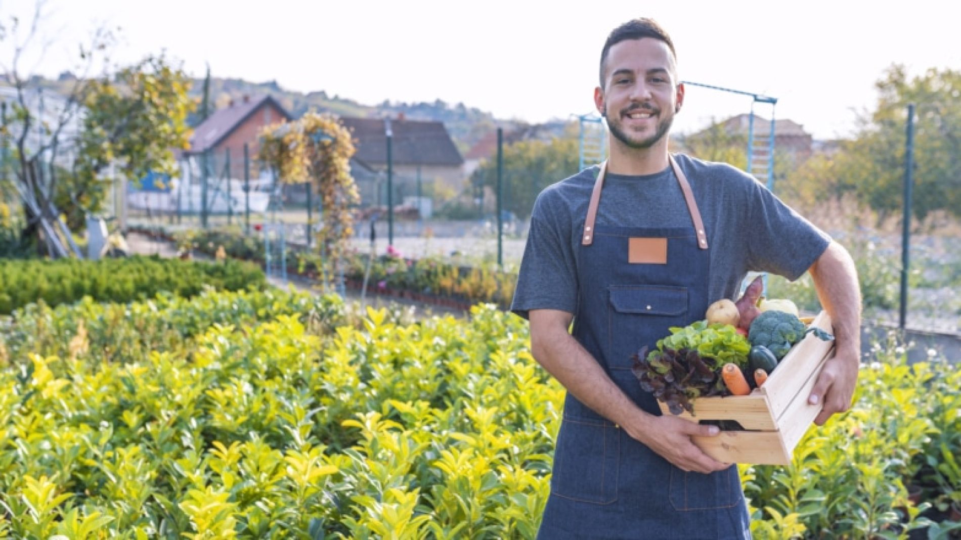 Young-man-growing-vegetables-pER7aL