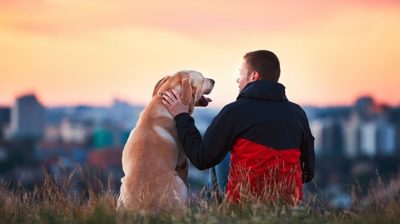 Young-man-with-his-dog-looking-at-a-view-ryrfit