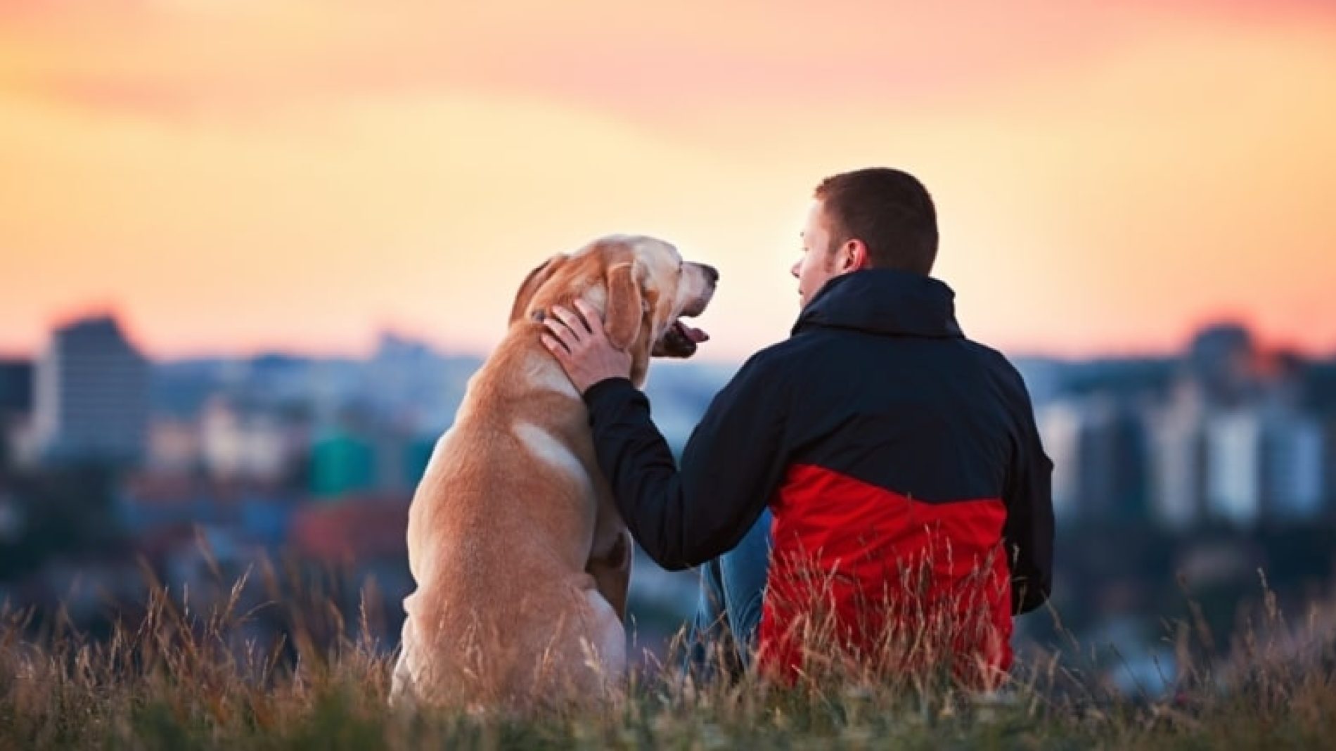 Young-man-with-his-dog-looking-at-a-view-ryrfit