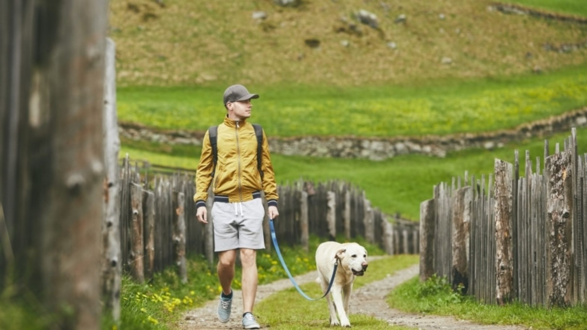 Young-person-walking-a-dog-outside-Pdy763