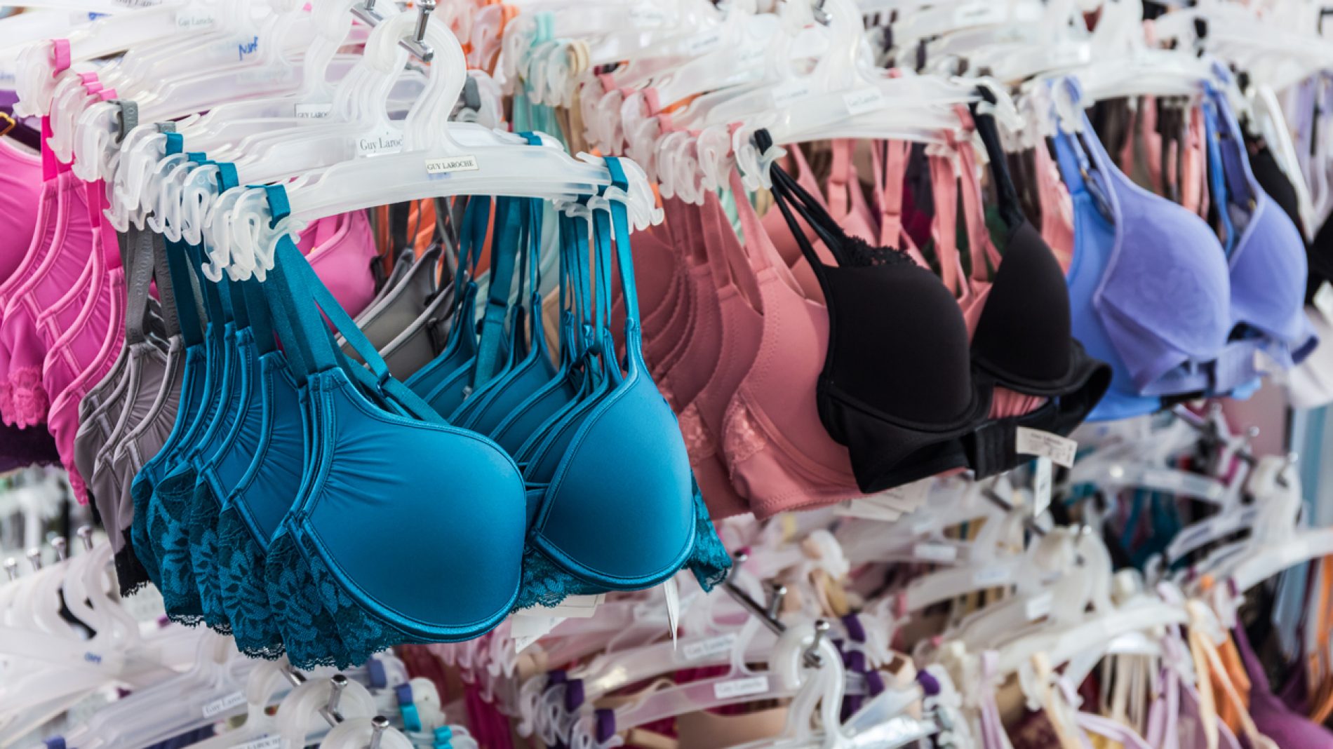 Row of colorful bras.