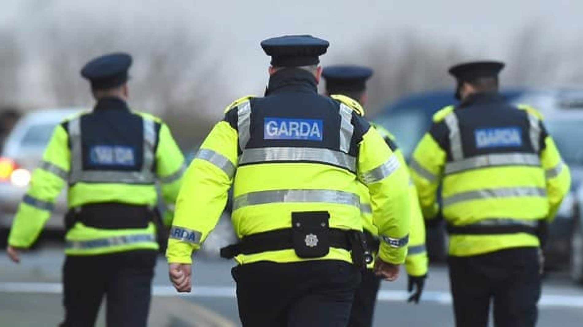 A group of gardaí with their backs to the camera