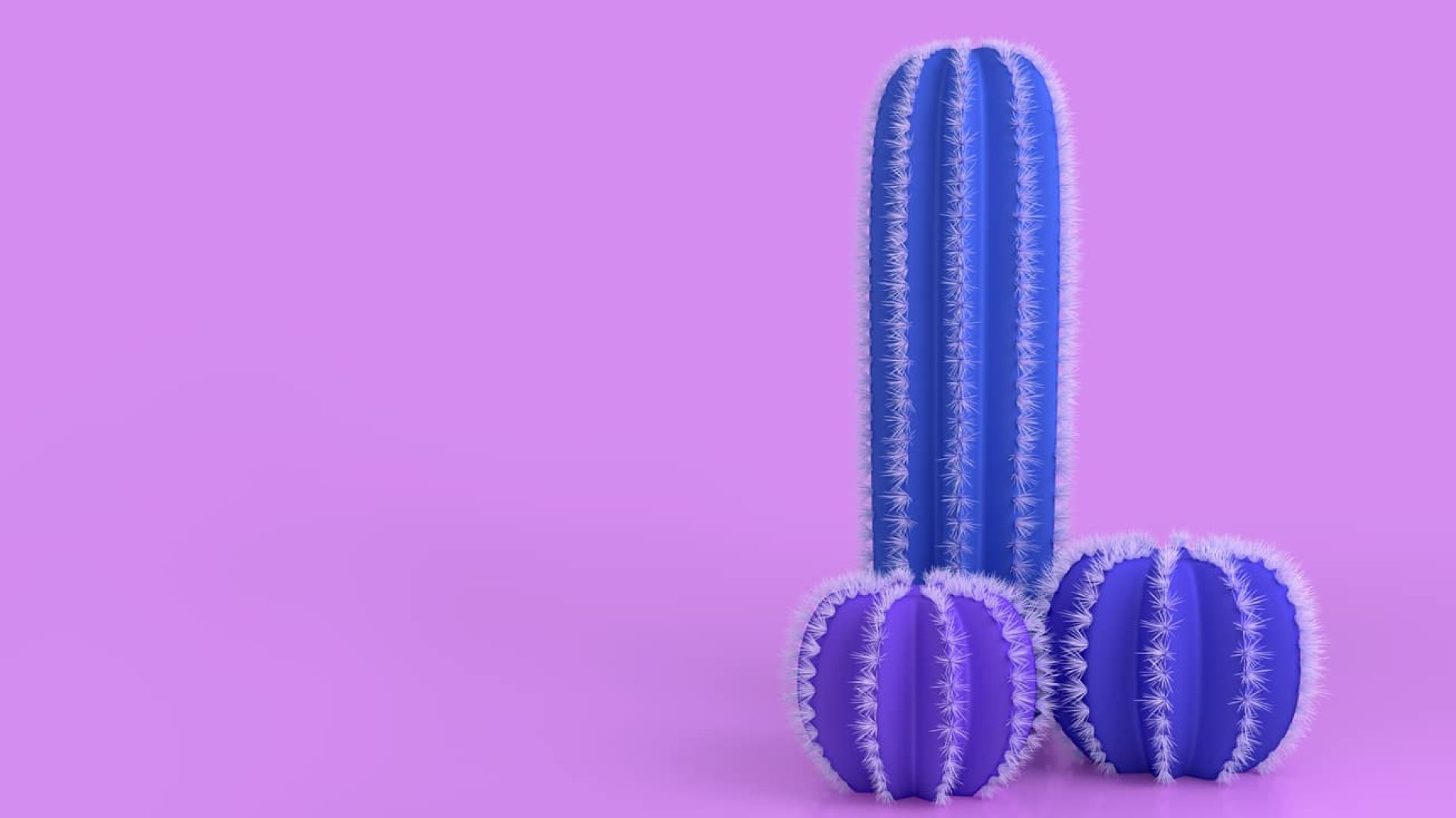 Abstract concept on the topic of the male penis. Three different cacti with thorns on a bright colored pastel background as a concept of infertility and abstinence. 3d illustration.
