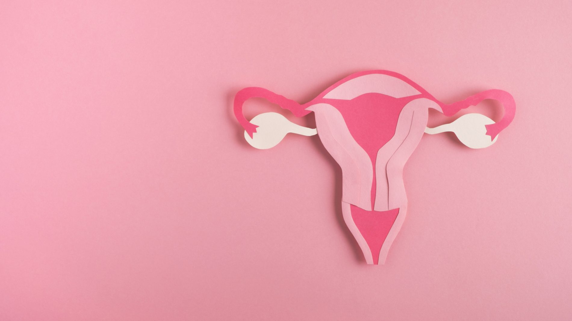 Decorative model uterus made frome paper on pink background. Top view, copy space