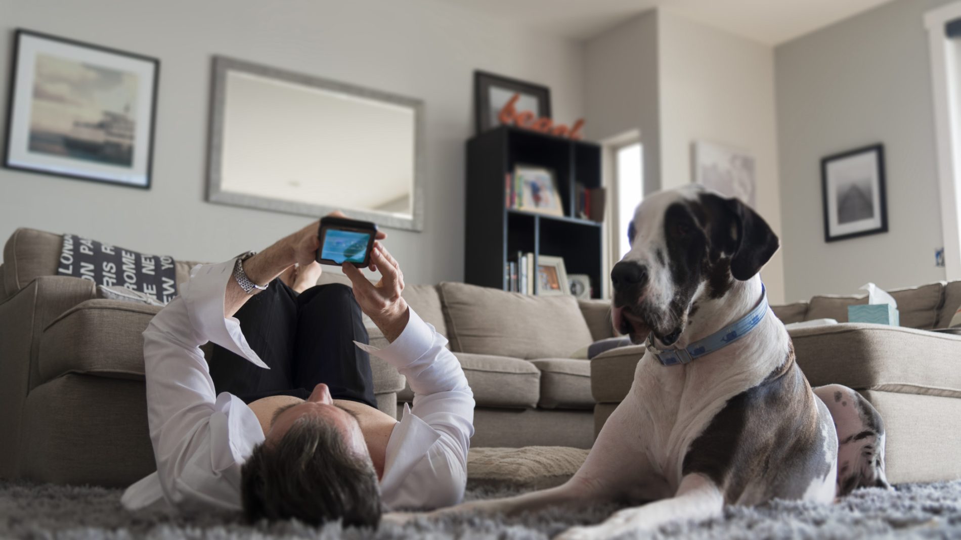 man-laying-on-home-interior-carpet-rug-using-his-smart-phone-watching-video-with-large-great-dane-dog_t20_x64b0g
